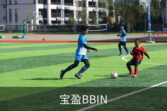 关于宝盈BBIN